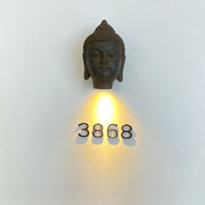 Os 304 sinais de aço inoxidável iluminados do endereço do metal parafusam a montagem