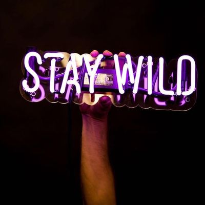 Placa feita sob encomenda do sinal de néon do amor do casamento para o ODM do OEM do quarto